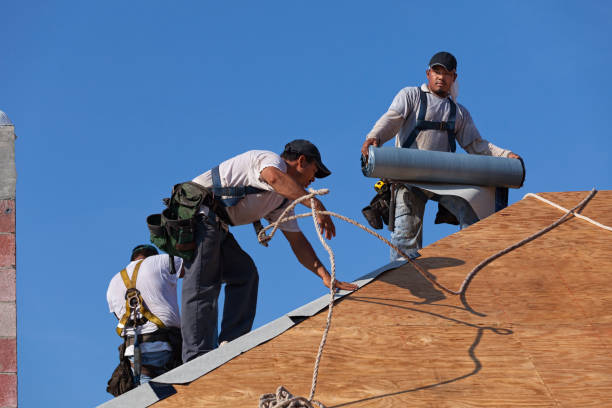 Best Roof Gutter Cleaning  in Pea Ridge, FL
