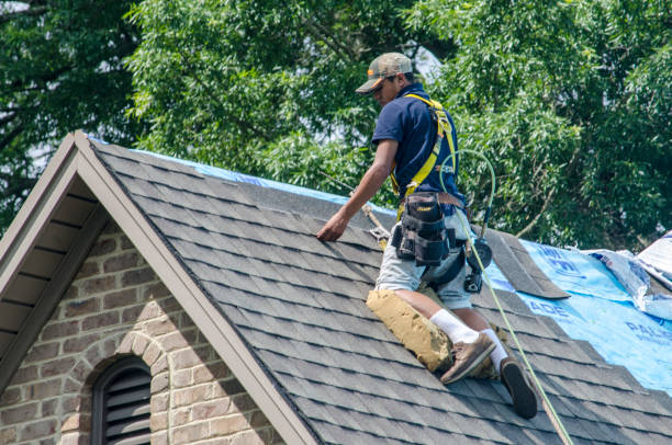 Quick and Trustworthy Emergency Roof Repair Services in Pea Ridge, FL